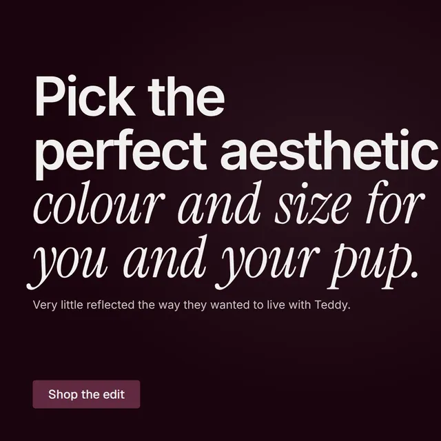 Video for By Teddy: "Pick the perfect aesthetic, colour and size for you and your pup.". Doc motion loop, 6.0 s, dark palette.