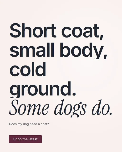 Video for By Teddy: "Short coat, small body, cold ground. Some dogs do.". Kinetic type grid, 7.0 s, light palette.
