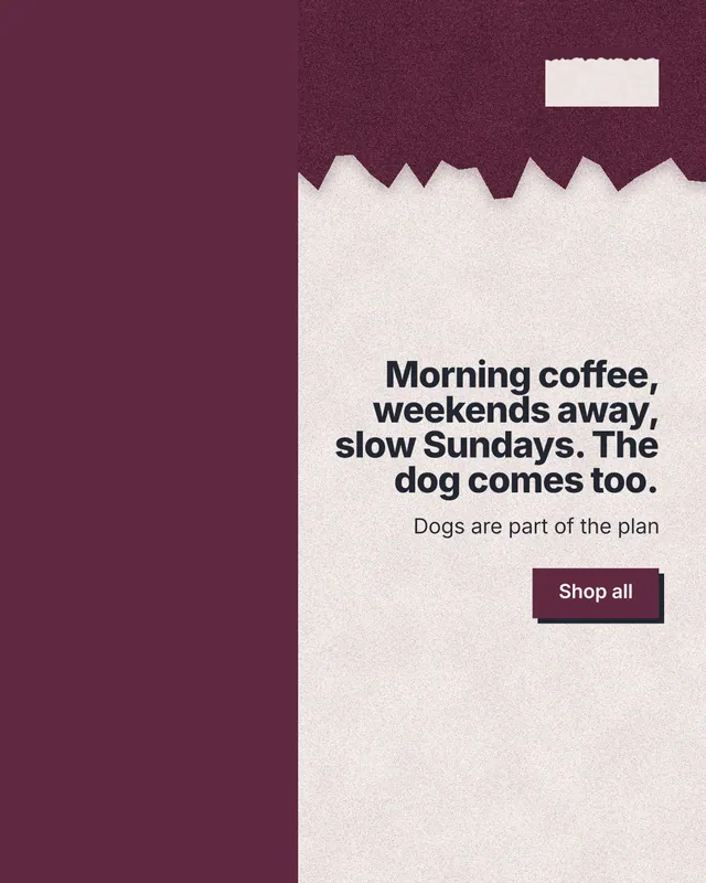 Instagram portrait post for By Teddy: "Morning coffee, weekends away, slow Sundays. The dog comes too." Paper trio style, right layout, light palette in red, orange, pink.