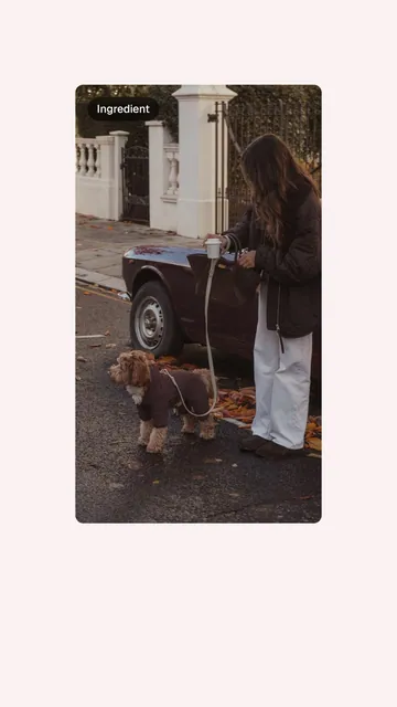 Video for By Teddy: "Fabric: Soft vegan sherpa for exceptional comfort". Before after wipe, 6.0 s, light palette.