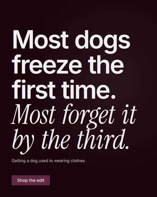 Video for By Teddy: "Most dogs freeze the first time. Most forget it by the third.". Kinetic type grid, 6.0 s, dark palette.