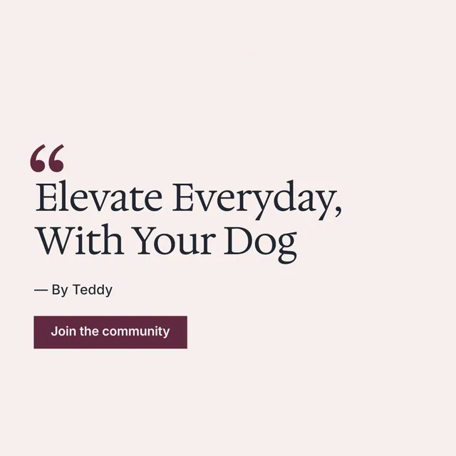 Instagram post for By Teddy: "Elevate Everyday, With Your Dog". Swiss style, quote layout, light palette in white.