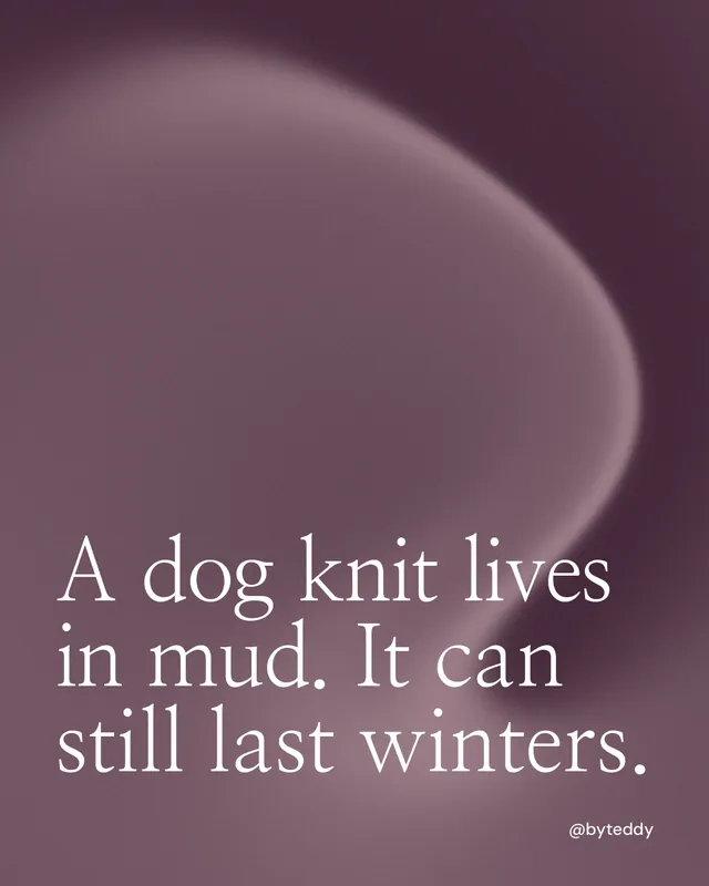 Instagram portrait post for By Teddy: "A dog knit lives in mud. It can still last winters." Auto 4x5 style, technique:shader field layout, dark palette in grey, pink.