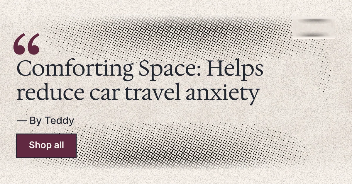 Social ad for By Teddy: "Comforting Space: Helps reduce car travel anxiety". Ink sticker style, quote layout, light palette in orange, white, grey.