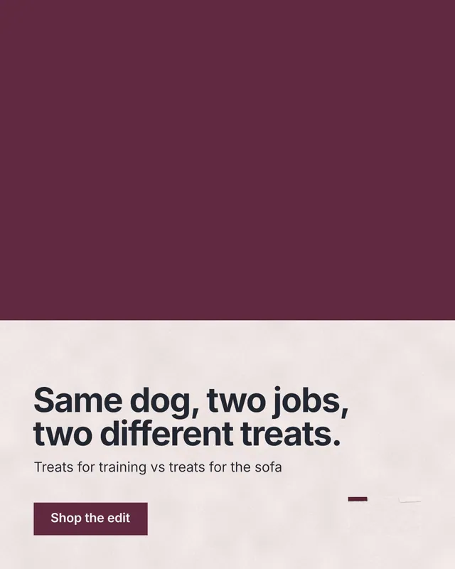 Instagram portrait post for By Teddy: "Same dog, two jobs, two different treats." Swiss style, bottom layout, light palette in red, grey.