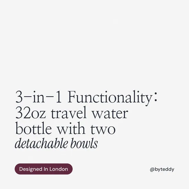 Instagram post for By Teddy: "3-in-1 Functionality: 32oz travel water bottle with two detachable bowls". Caption style, technique:mixed type lockup layout, light palette in white, grey.