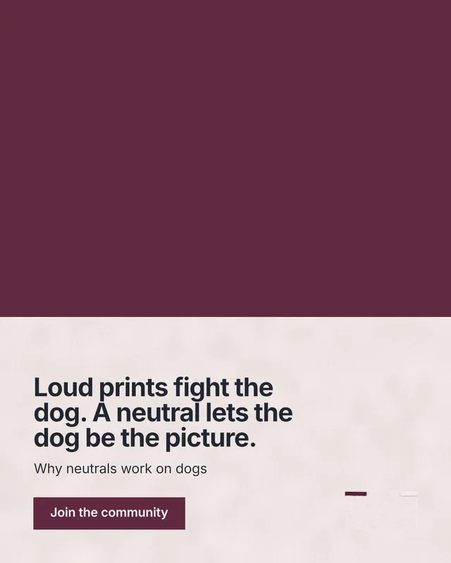 Instagram portrait post for By Teddy: "Loud prints fight the dog. A neutral lets the dog be the picture." Swiss style, bottom layout, light palette in red, grey.