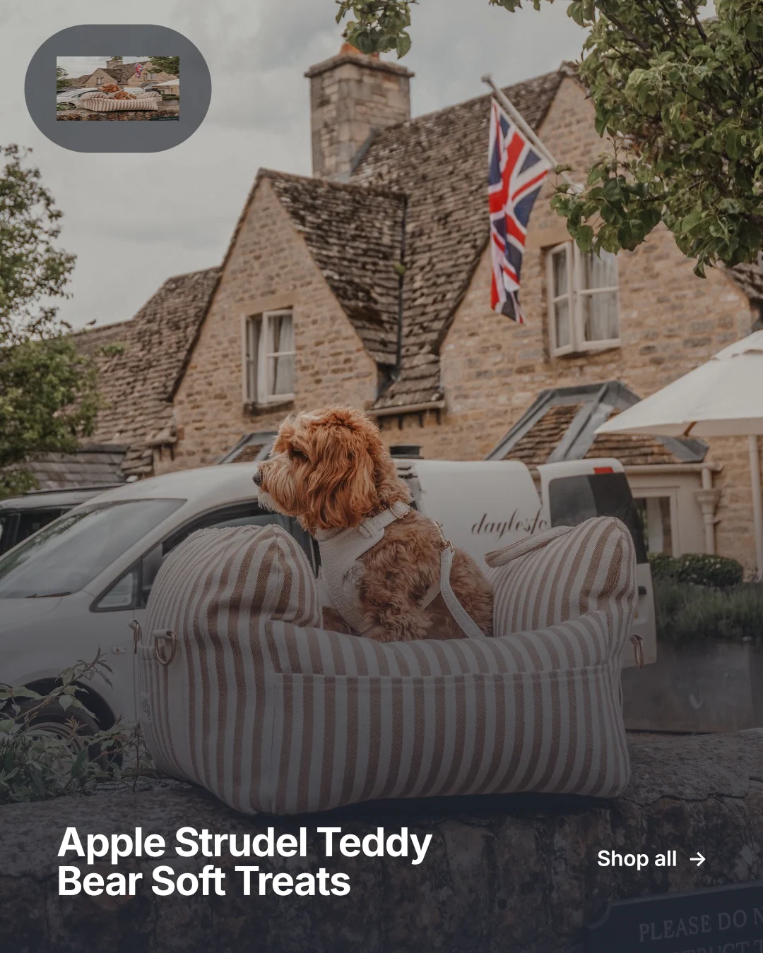 Instagram portrait post for By Teddy: "Apple Strudel Teddy Bear Soft Treats". Swiss style, image led layout, dark palette in grey, black.