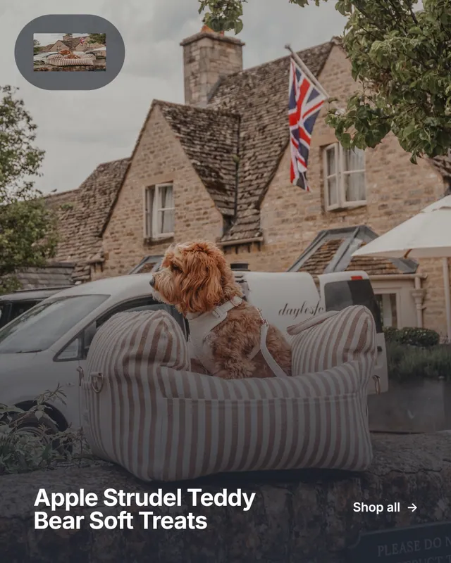Instagram portrait post for By Teddy: "Apple Strudel Teddy Bear Soft Treats". Swiss style, image led layout, dark palette in grey, black.
