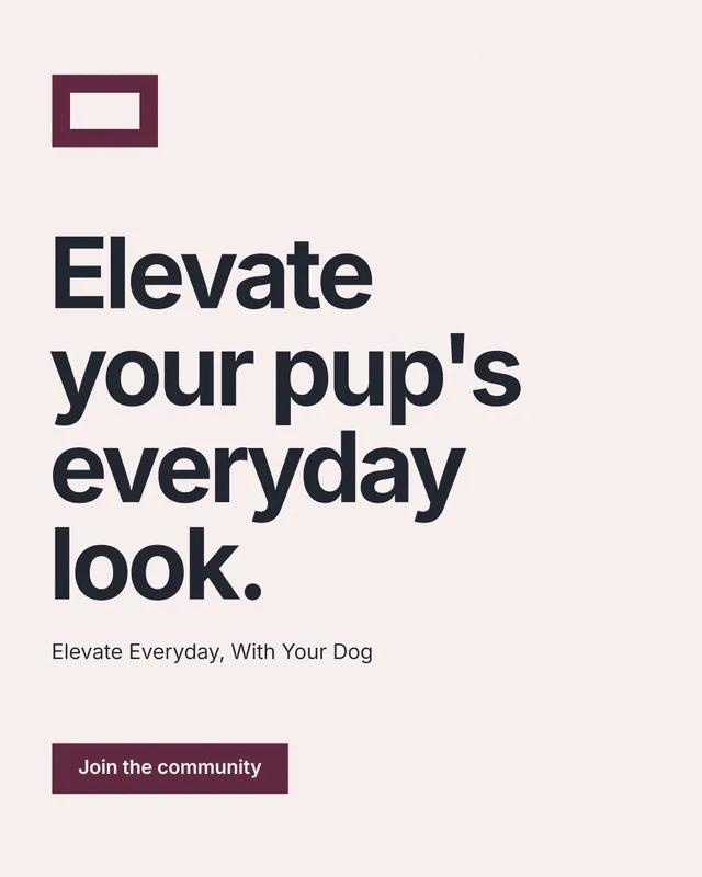 Instagram portrait post for By Teddy: "Elevate your pup's everyday look." Swiss style, announce layout, light palette in white, grey.