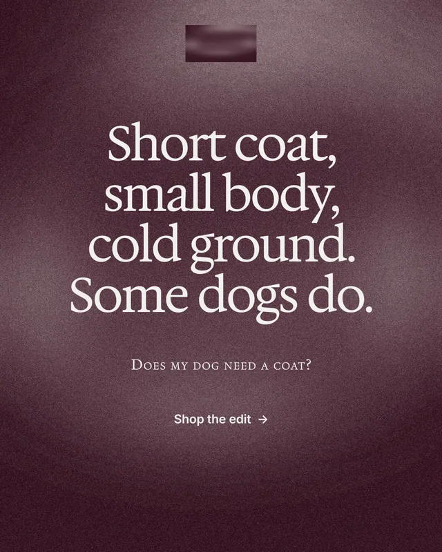 Instagram portrait post for By Teddy: "Short coat, small body, cold ground. Some dogs do." Cyanotype style, smallcaps layout, dark palette in red, grey.