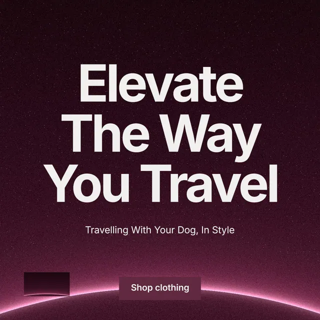 Instagram post for By Teddy: "Elevate The Way You Travel". Swiss style, centred layout, dark palette in black, pink, grey.