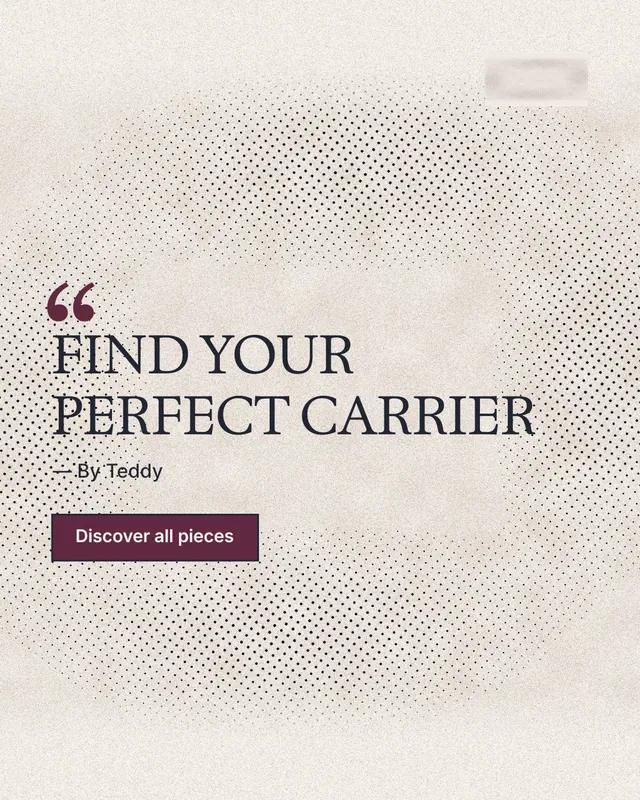 Instagram portrait post for By Teddy: "FIND YOUR PERFECT CARRIER". Ink sticker style, quote layout, light palette in white, orange, grey.