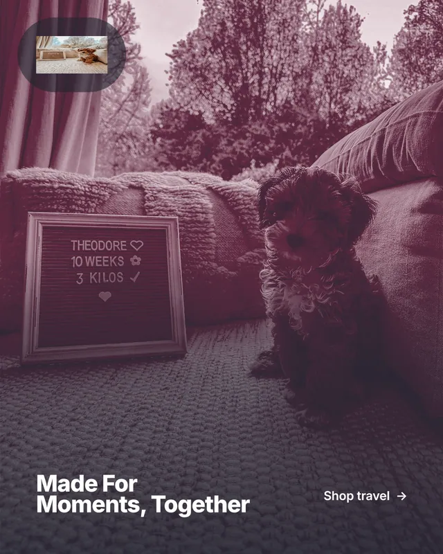 Instagram portrait post for By Teddy: "Made For Moments, Together". Ink sticker style, image led layout, dark palette in black, pink, grey.