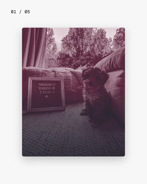 Video for By Teddy. Ad flipbook, 7.5 s, light palette.