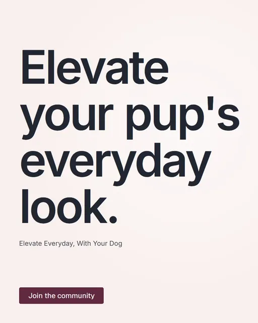 Video for By Teddy: "Elevate your pup's everyday look.". Doc motion loop, 6.0 s, light palette.