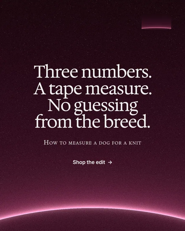 Instagram portrait post for By Teddy: "Three numbers. A tape measure. No guessing from the breed." Swiss style, smallcaps layout, dark palette in black, pink, grey.