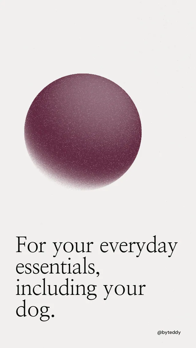 Instagram story for By Teddy: "For your everyday essentials, including your dog." Auto 9x16 style, technique:shader field layout, light palette in white, red, grey.