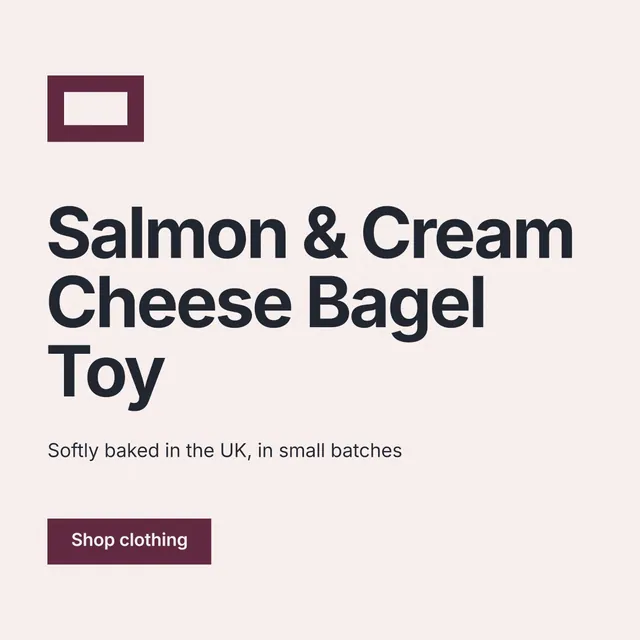 Instagram post for By Teddy: "Salmon & Cream Cheese Bagel Toy". Swiss style, announce layout, light palette in white, grey.