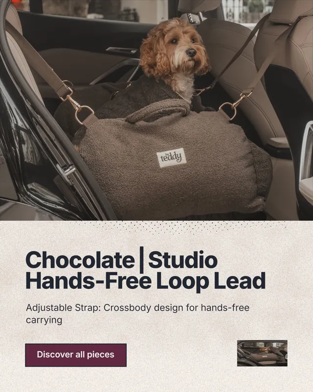 Instagram portrait post for By Teddy: "Chocolate┃Studio Hands-Free Loop Lead". Ink sticker style, bottom layout, light palette in grey, black, orange.