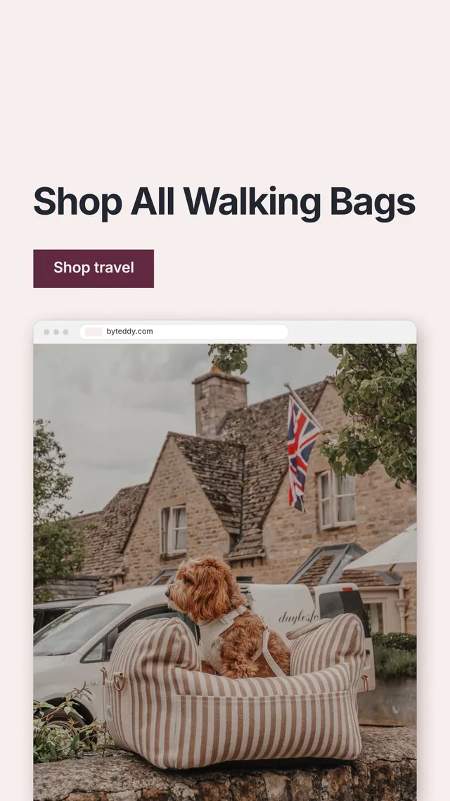 Instagram story for By Teddy: "Shop All Walking Bags". Swiss style, browser layout, light palette in white, grey, orange.