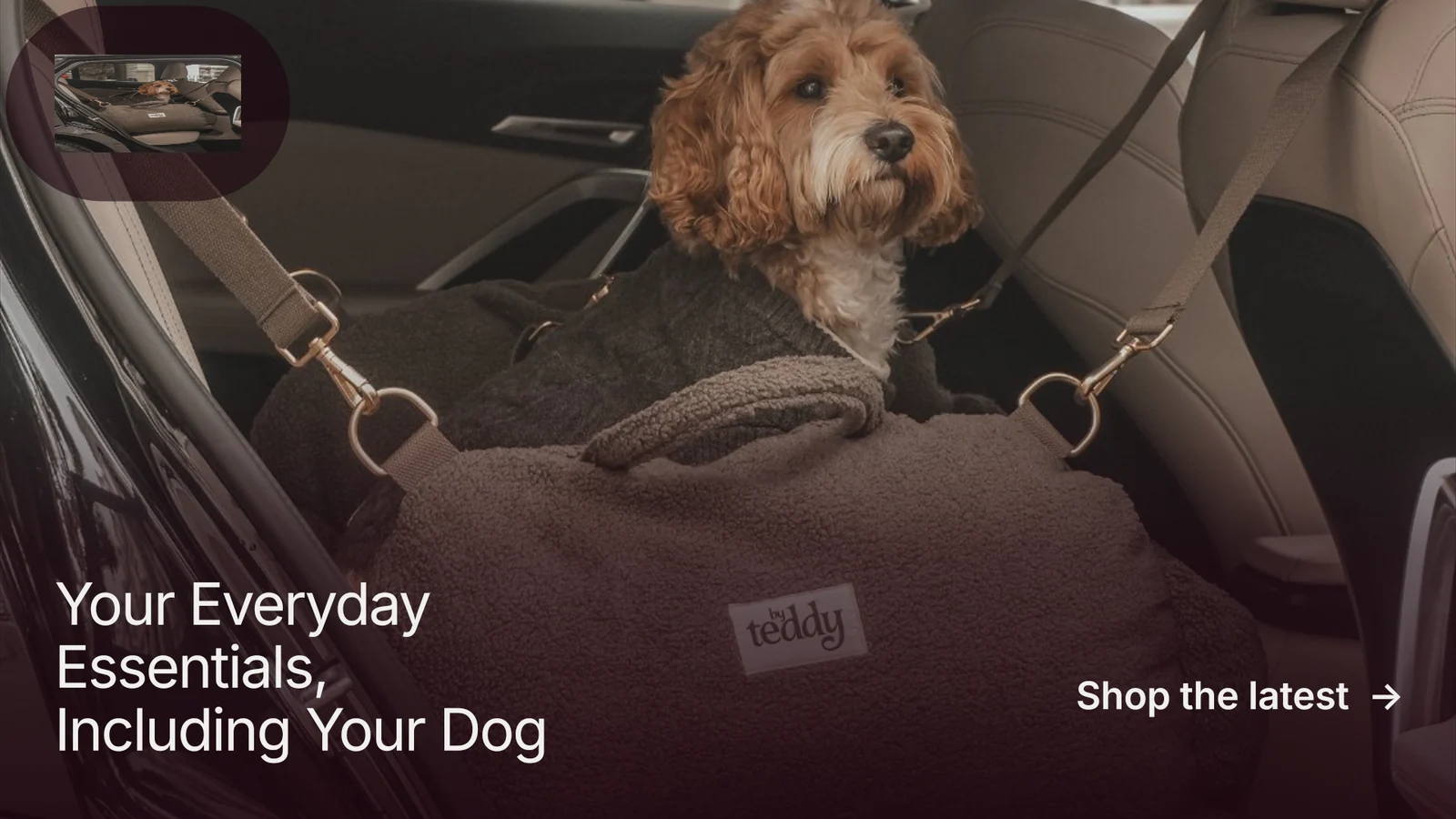 Landscape graphic for By Teddy: "Your Everyday Essentials, Including Your Dog". Film still style, image led layout, dark palette in black, grey.