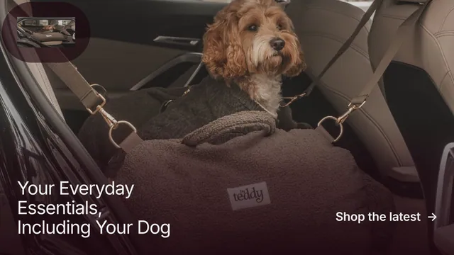Landscape graphic for By Teddy: "Your Everyday Essentials, Including Your Dog". Film still style, image led layout, dark palette in black, grey.