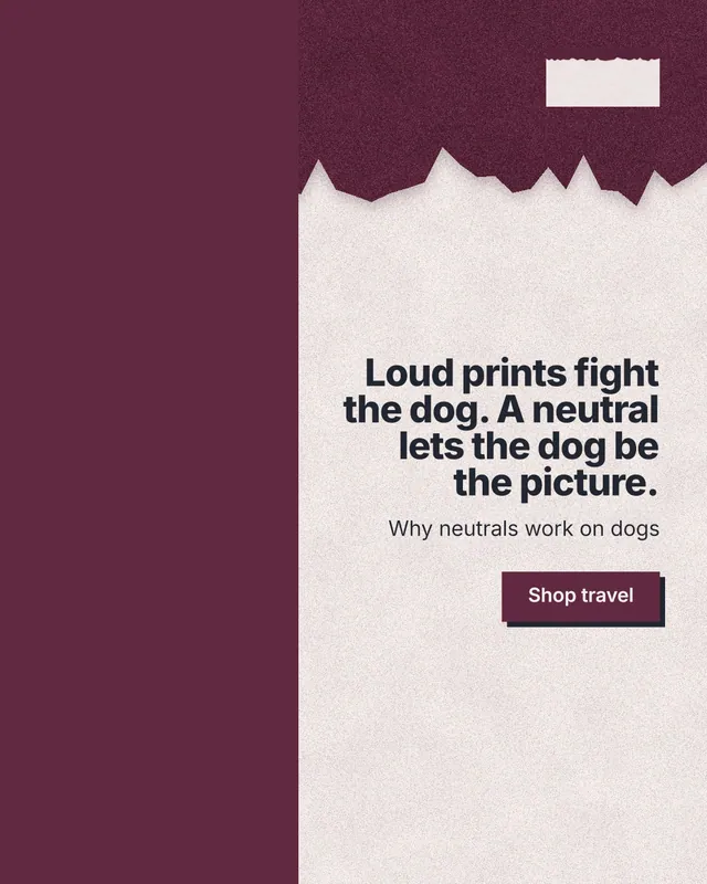 Instagram portrait post for By Teddy: "Loud prints fight the dog. A neutral lets the dog be the picture." Paper trio style, right layout, light palette in red, orange, pink.