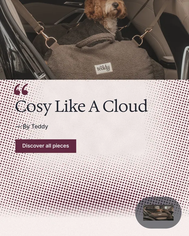 Instagram portrait post for By Teddy: "Cosy Like A Cloud". Retro print style, quote layout, light palette in black, white, red.