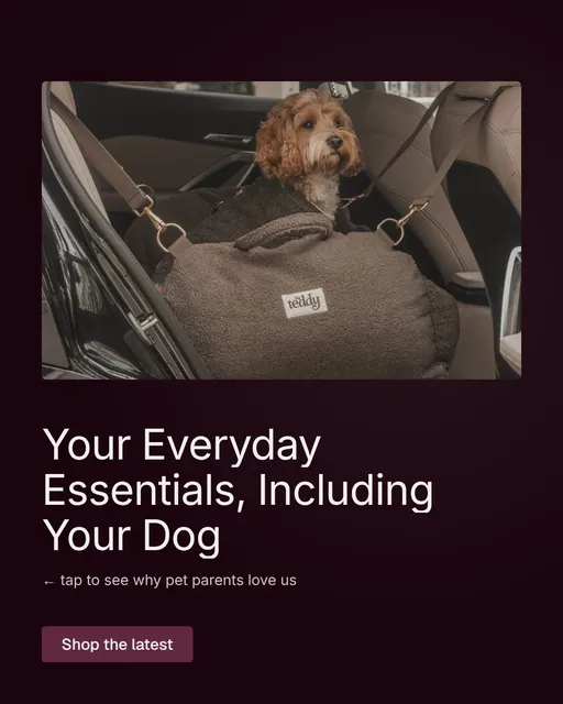 Video for By Teddy: "Your Everyday Essentials, Including Your Dog". Doc motion loop, 8.0 s, dark palette.