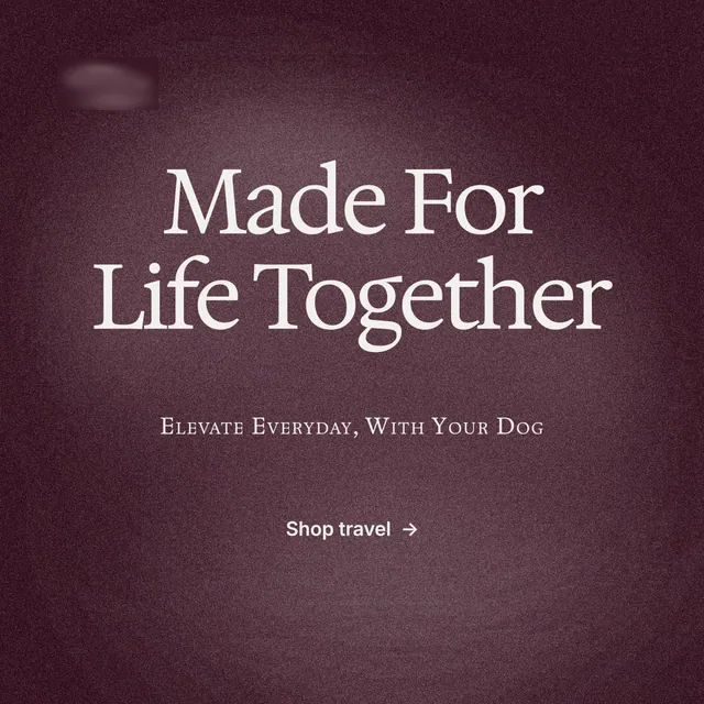 Instagram post for By Teddy: "Made For Life Together". Cyanotype style, smallcaps layout, dark palette in red, grey.