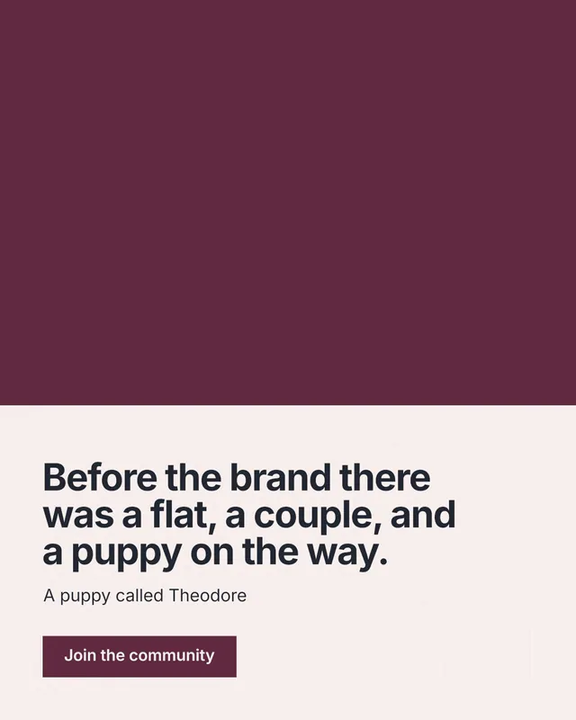 Instagram portrait post for By Teddy: "Before the brand there was a flat, a couple, and a puppy on the way." Swiss style, bottom layout, light palette in red, white, grey.