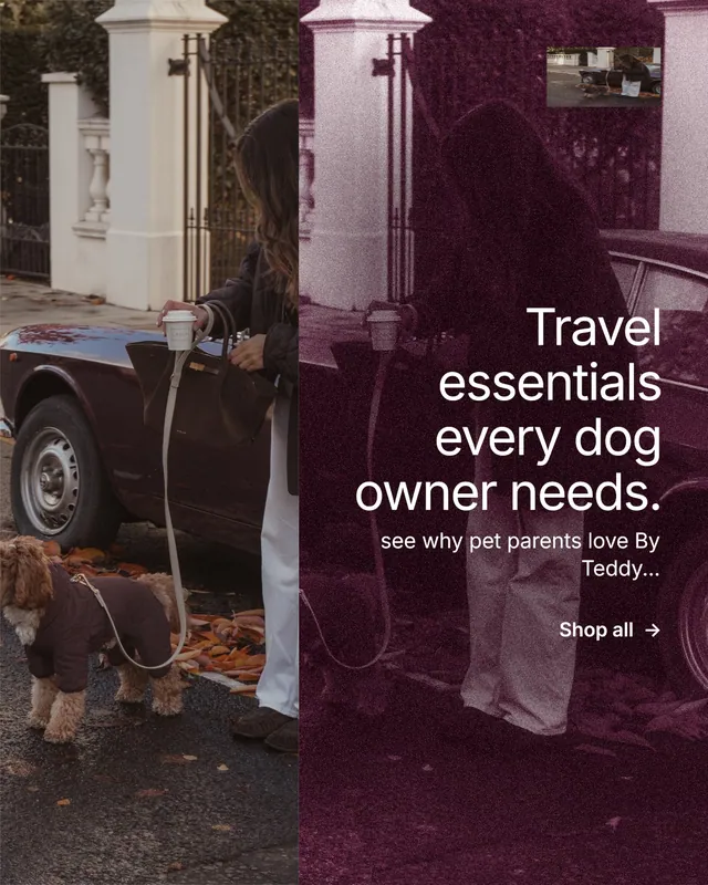 Instagram portrait post for By Teddy: "Travel essentials every dog owner needs." Film still style, right layout, dark palette in black, grey, pink.
