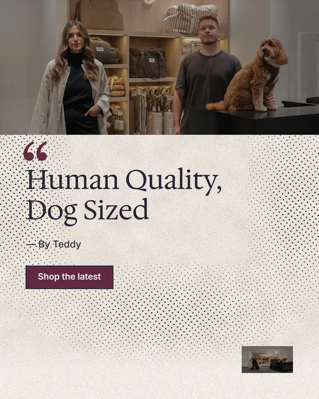 Instagram portrait post for By Teddy: "Human Quality, Dog Sized". Ink sticker style, quote layout, light palette in orange, grey.