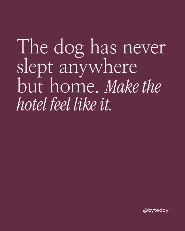 Instagram portrait post for By Teddy: "The dog has never slept anywhere but home. Make the hotel feel like it." Editorial style, technique:mixed type lockup layout, dark palette in red.