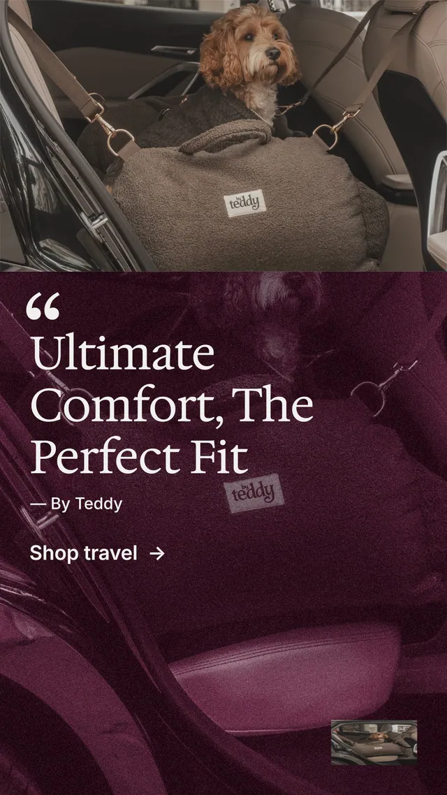 Instagram story for By Teddy: "Ultimate Comfort, The Perfect Fit". Film still style, quote layout, dark palette in black, pink, red.