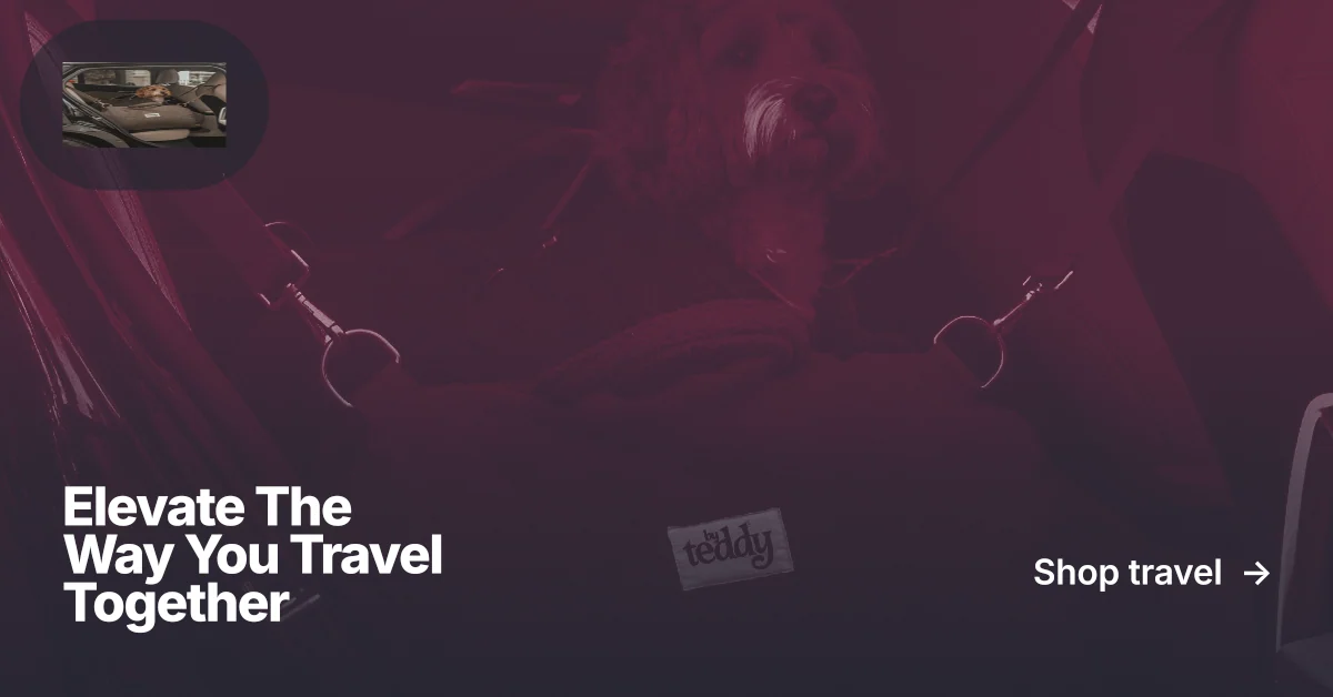 Social ad for By Teddy: "Elevate The Way You Travel Together". Ink sticker style, image led layout, dark palette in pink, black, grey.