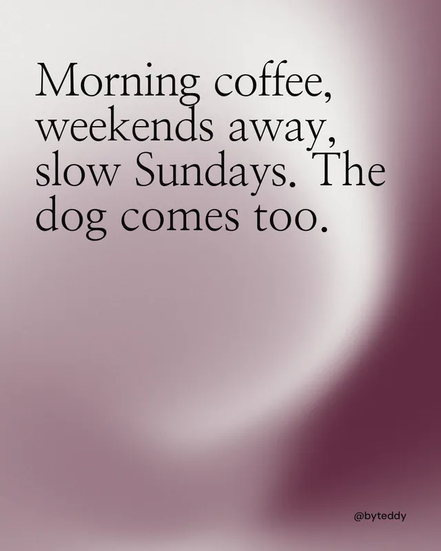 Instagram portrait post for By Teddy: "Morning coffee, weekends away, slow Sundays. The dog comes too." Auto 4x5 style, technique:shader field layout, light palette in grey, red, white.