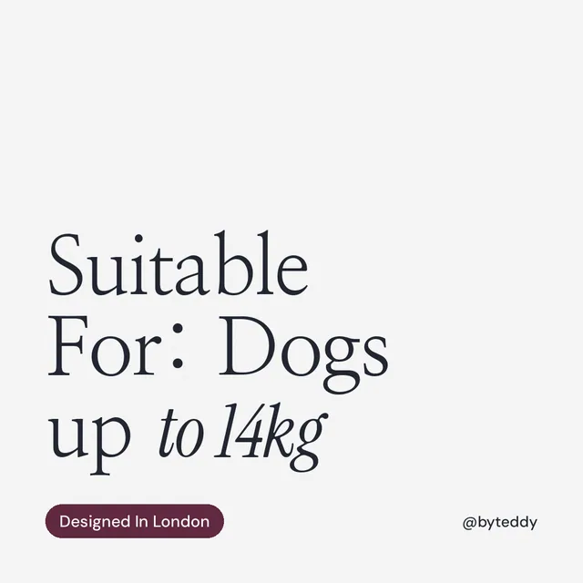 Instagram post for By Teddy: "Suitable For: Dogs up to 14kg". Caption style, technique:mixed type lockup layout, light palette in white, grey.