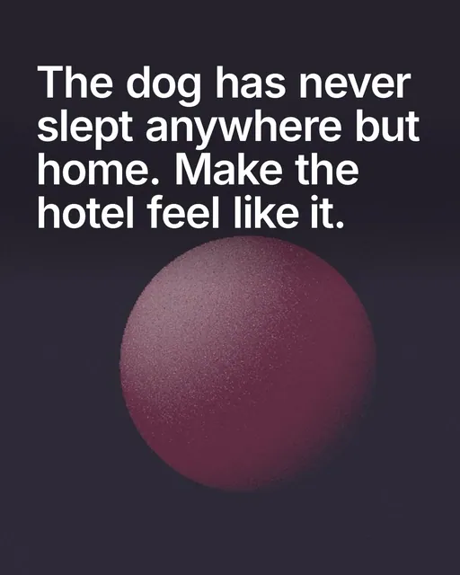 Video for By Teddy: "The dog has never slept anywhere but home. Make the hotel feel like it.". Shader loop, 6.0 s, dark palette.