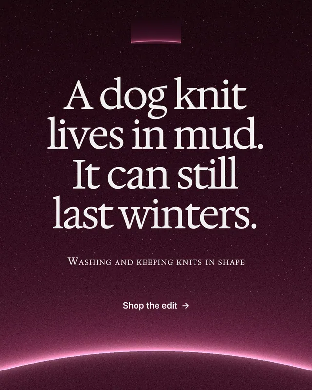 Instagram portrait post for By Teddy: "A dog knit lives in mud. It can still last winters." Swiss style, smallcaps layout, dark palette in black, pink, grey.