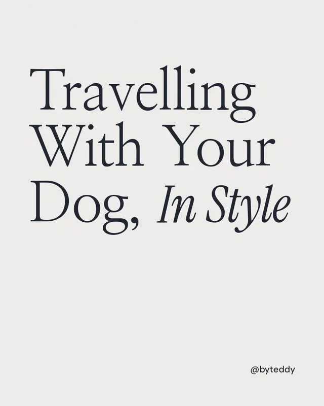 Instagram portrait post for By Teddy: "Travelling With Your Dog, In Style". Editorial style, technique:mixed type lockup layout, light palette in white.
