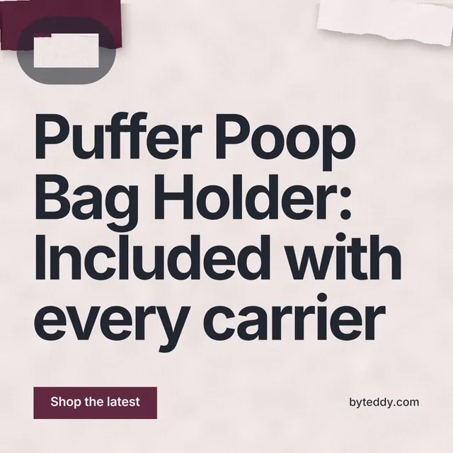 Instagram post for By Teddy: "Puffer Poop Bag Holder: Included with every carrier". Swiss style, poster layout, light palette in red, grey, white.