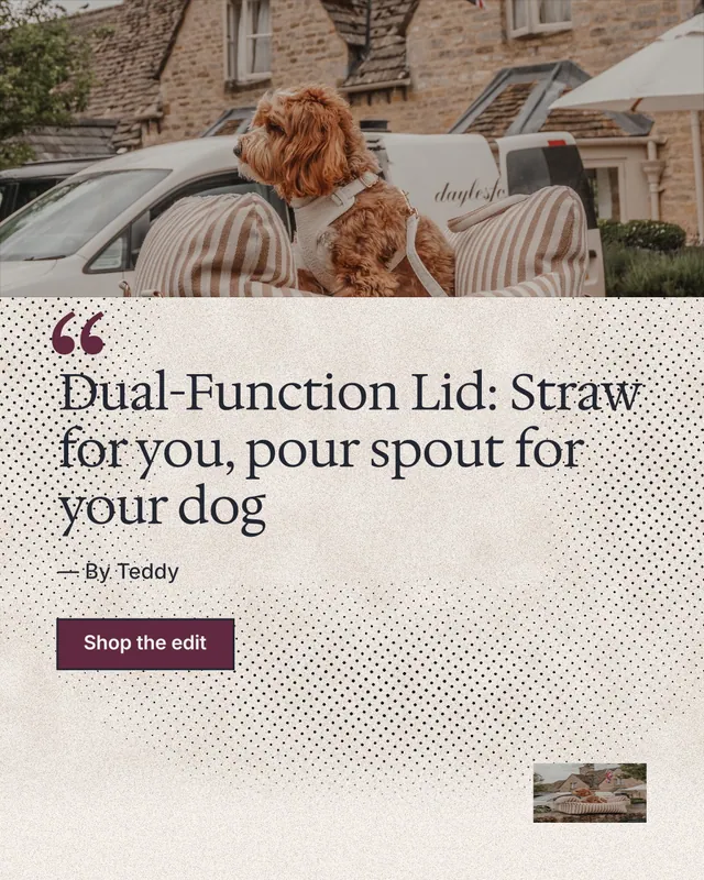 Instagram portrait post for By Teddy: "Dual-Function Lid: Straw for you, pour spout for your dog". Ink sticker style, quote layout, light palette in white, orange, grey.