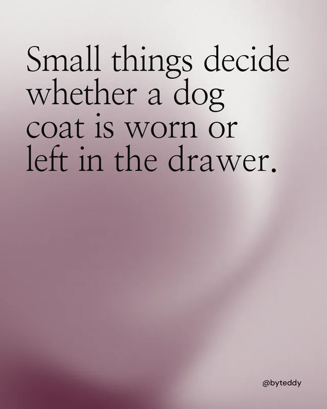 Instagram portrait post for By Teddy: "Small things decide whether a dog coat is worn or left in the drawer." Auto 4x5 style, technique:shader field layout, light palette in grey, white.