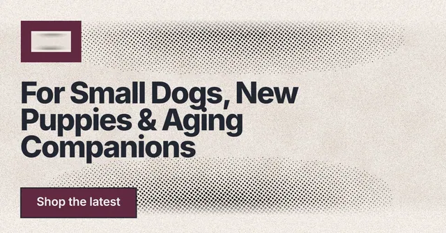 Social ad for By Teddy: "For Small Dogs, New Puppies & Aging Companions". Ink sticker style, announce layout, light palette in orange, white, grey.