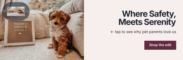 X header for By Teddy: "Where Safety, Meets Serenity". Swiss style, right layout, light palette in white, grey, orange.