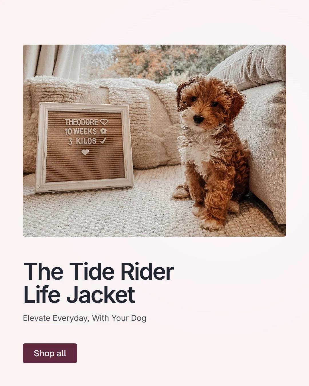 Video for By Teddy: "The Tide Rider Life Jacket". Doc motion loop, 6.0 s, light palette.