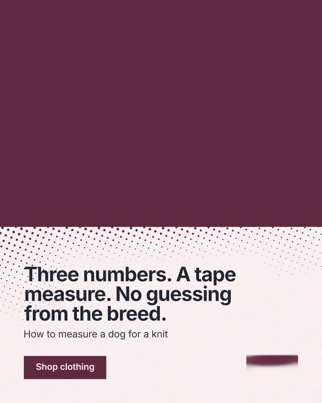 Instagram portrait post for By Teddy: "Three numbers. A tape measure. No guessing from the breed." Swiss style, bottom layout, light palette in red, white, grey.