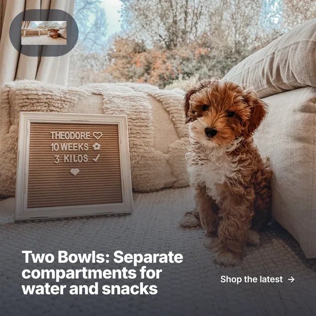 Instagram post for By Teddy: "Two Bowls: Separate compartments for water and snacks". Paper trio style, image led layout, light palette in grey, black.